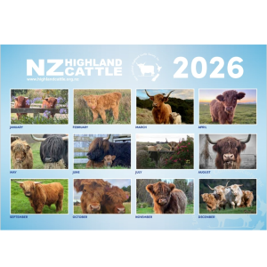 2026 wall calendar - Image 2