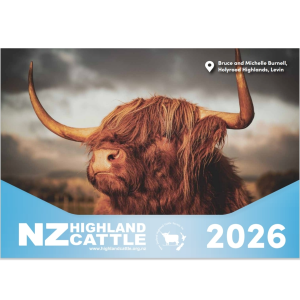 2026 wall calendar