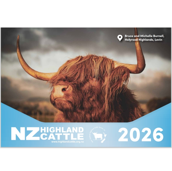 2026 wall calendar