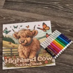 Highland Calf colouring book, bundled with set of 12 felt tip pens