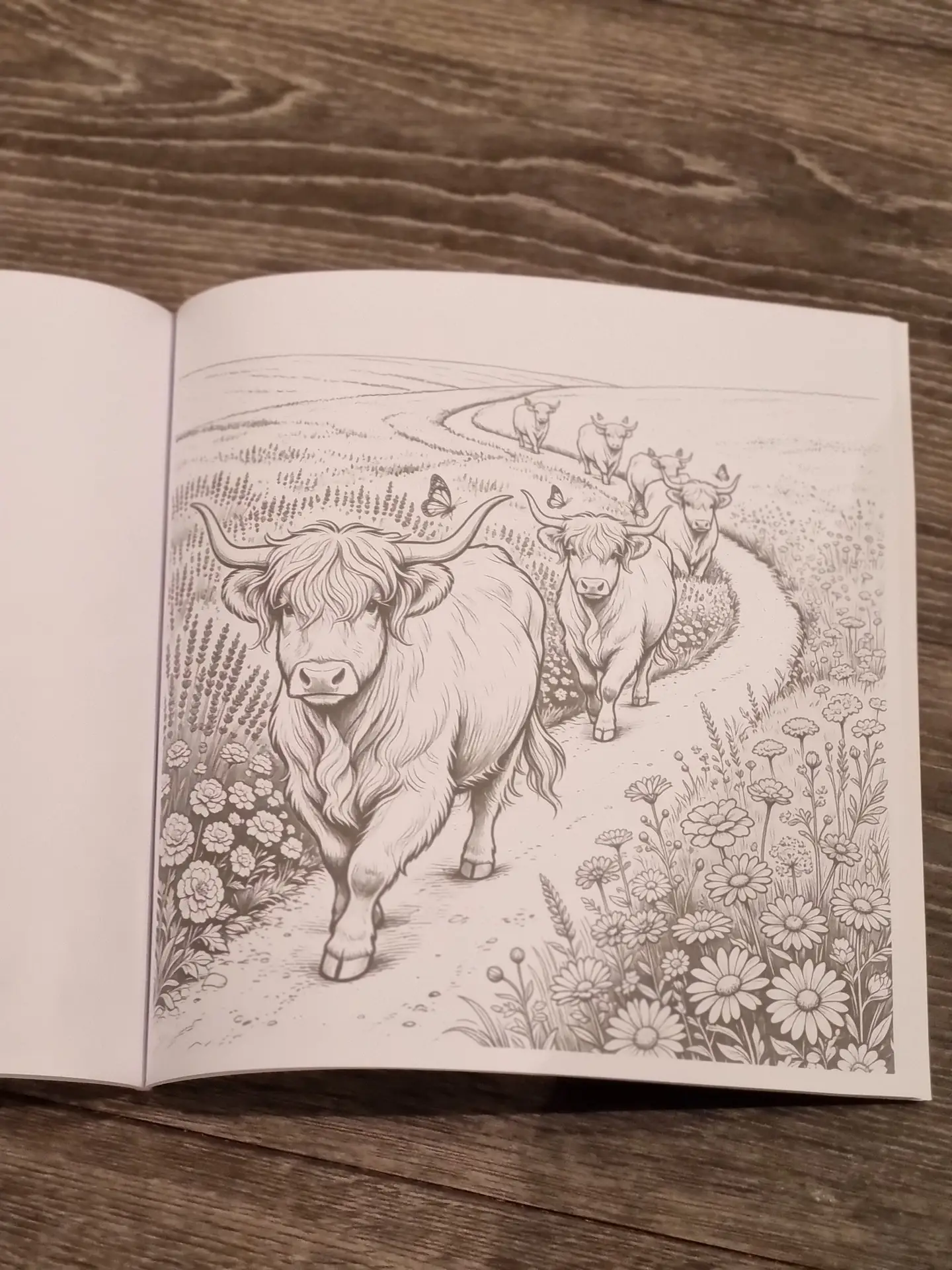 Highland Cow colouring book, bundled with set of 12 felt tip pens - Image 2