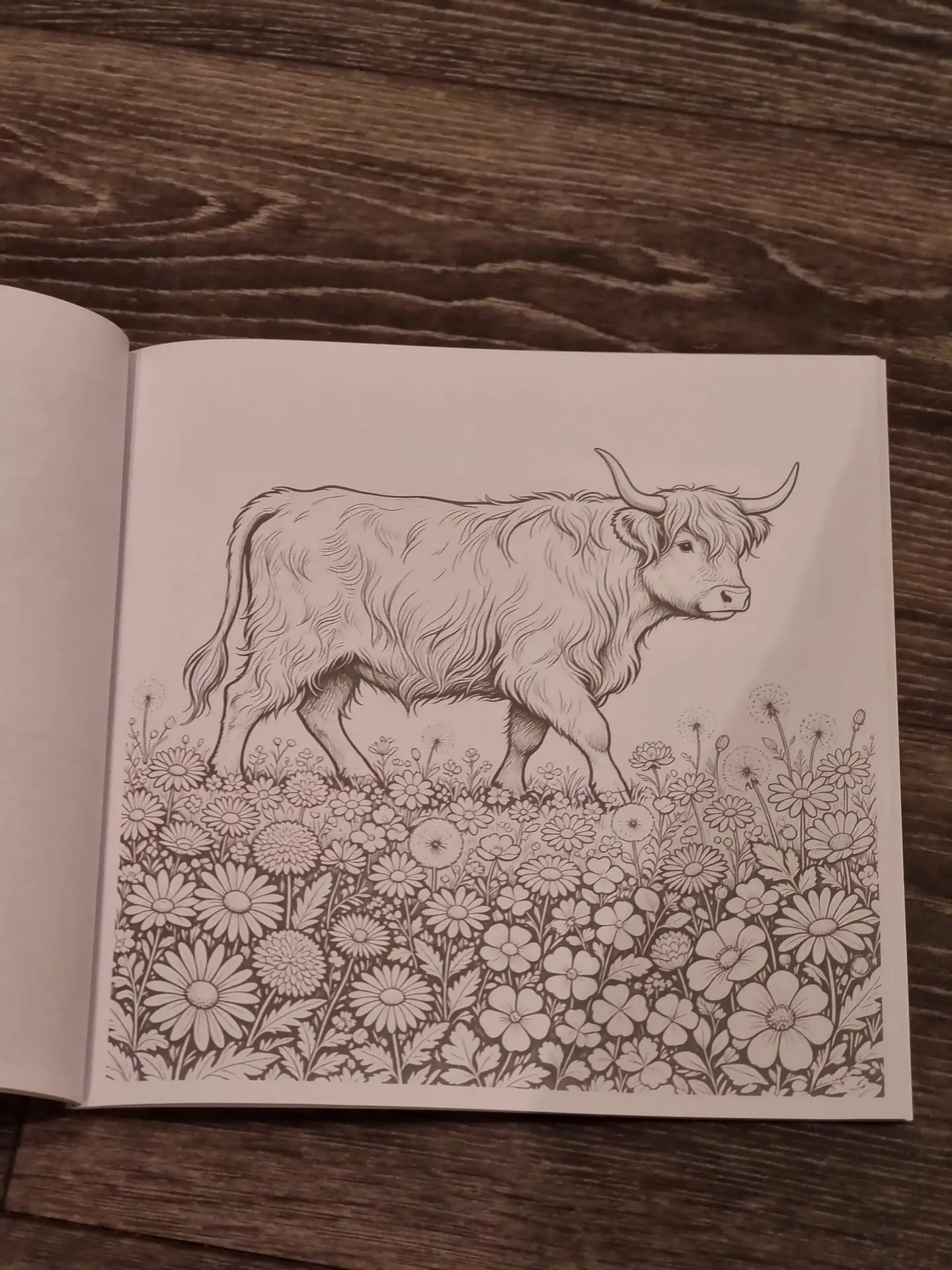 Highland Cow colouring book, bundled with set of 12 felt tip pens - Image 3