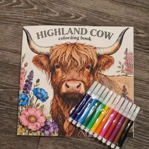 Highland Cow colouring book, bundled with set of 12 felt tip pens